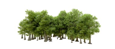 Doğa. Beyaz arkaplanda yeşil ağaçlar izole     