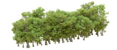 Doğa. Beyaz arkaplanda yeşil ağaçlar izole     