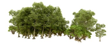 Doğa. Beyaz arkaplanda yeşil ağaçlar izole     