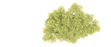 Orman ıssız. Afişler, afişler ve fotoğraf postaları için kullanışlı bir görüntü. 3d oluşturma.