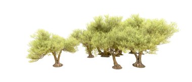 Orman ıssız. Afişler, afişler ve fotoğraf postaları için kullanışlı bir görüntü. 3d oluşturma.