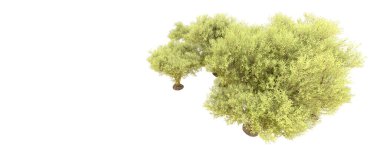 Orman ıssız. Afişler, afişler ve fotoğraf postaları için kullanışlı bir görüntü. 3d oluşturma.