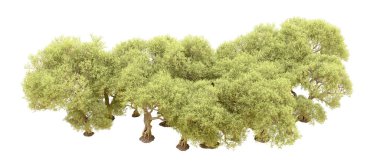 Orman ıssız. Afişler, afişler ve fotoğraf postaları için kullanışlı bir görüntü. 3d oluşturma.