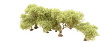 Beyaz arkaplanda yeşil çalılar izole edilmiş