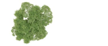 Orman ıssız. Afişler, afişler ve fotoğraf postaları için kullanışlı bir görüntü. 3d oluşturma.