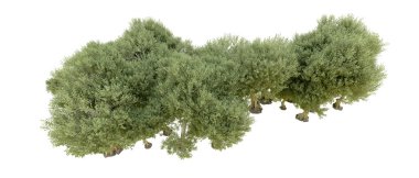 Orman ıssız. Afişler, afişler ve fotoğraf postaları için kullanışlı bir görüntü. 3d oluşturma.