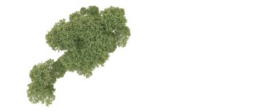 Orman ıssız. Afişler, afişler ve fotoğraf postaları için kullanışlı bir görüntü. 3d oluşturma.