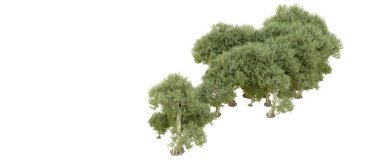 Orman ıssız. Afişler, afişler ve fotoğraf postaları için kullanışlı bir görüntü. 3d oluşturma.