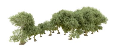 Orman ıssız. Afişler, afişler ve fotoğraf postaları için kullanışlı bir görüntü. 3d oluşturma.