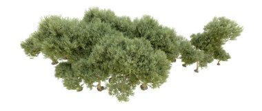 Orman ıssız. Afişler, afişler ve fotoğraf postaları için kullanışlı bir görüntü. 3d oluşturma.