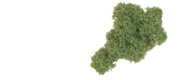 Orman ıssız. Afişler, afişler ve fotoğraf postaları için kullanışlı bir görüntü. 3d oluşturma.