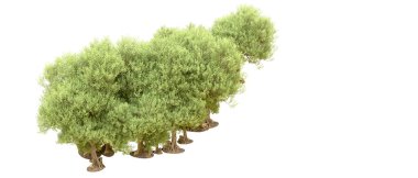 Orman ıssız. Afişler, afişler ve fotoğraf postaları için kullanışlı bir görüntü. 3d oluşturma.