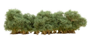 beyaz zemin üzerine yeşil ağaçlar