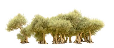 beyaz zemin üzerine yeşil ağaçlar