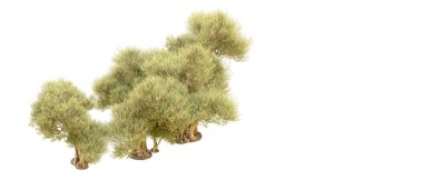 beyaz zemin üzerine yeşil ağaçlar