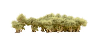 Beyaz arka plan üzerinde izole yeşil ağaçlar