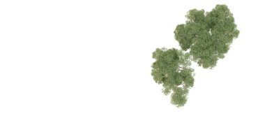 Beyaz arka plan üzerinde izole yeşil ağaçlar