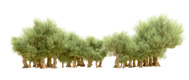 Beyaz arka plan üzerinde izole yeşil ağaçlar