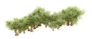 Beyaz arka plan üzerinde izole yeşil ağaçlar