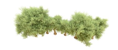 Beyaz arka plan üzerinde izole yeşil ağaçlar