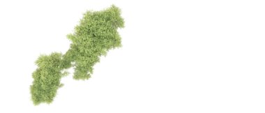 Beyaz arka plan üzerinde izole yeşil ağaçlar