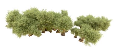 Beyaz arka plan üzerinde izole yeşil ağaçlar