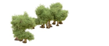 Beyaz arka plan üzerinde izole yeşil ağaçlar