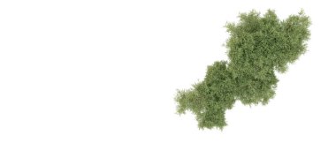 Yeşil orman beyaz arka planda izole edilmiş. 3d resimleme
