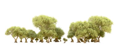 Yeşil orman beyaz arka planda izole edilmiş. 3d resimleme