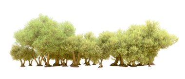 Yeşil orman beyaz arka planda izole edilmiş. 3d resimleme