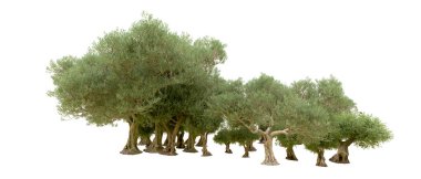 Yeşil orman beyaz arka planda izole edilmiş. 3d resimleme