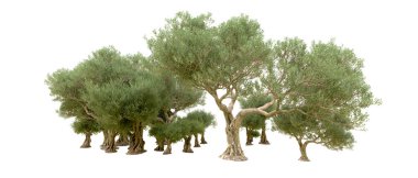 Yeşil orman beyaz arka planda izole edilmiş. 3d resimleme