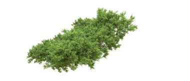 Yeşil orman ıssız. Afişler ve afişler için kullanışlı. 3d oluşturma.