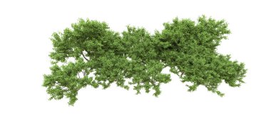 Yeşil orman ıssız. Afişler ve afişler için kullanışlı. 3d oluşturma.