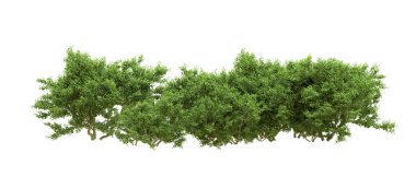 Yeşil orman ıssız. Afişler ve afişler için kullanışlı. 3d oluşturma.