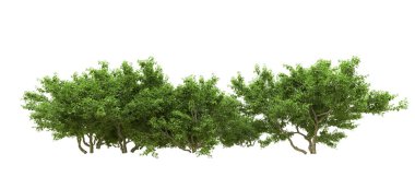 Yeşil orman ıssız. Afişler ve afişler için kullanışlı. 3d oluşturma.