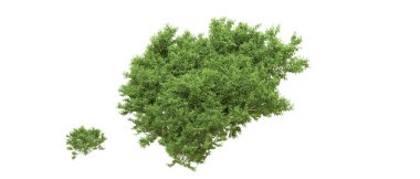 Yeşil orman ıssız. Afişler ve afişler için kullanışlı. 3d oluşturma.