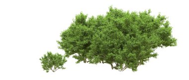 Yeşil orman ıssız. Afişler ve afişler için kullanışlı. 3d oluşturma.