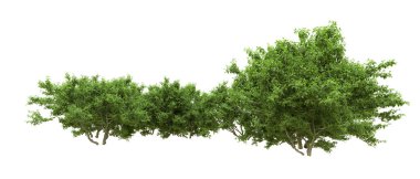 Yeşil orman ıssız. Afişler ve afişler için kullanışlı. 3d oluşturma.