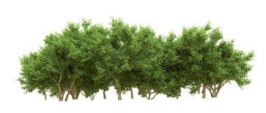 Yeşil orman ıssız. Afişler ve afişler için kullanışlı. 3d oluşturma.