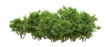 Yeşil orman ıssız. Afişler ve afişler için kullanışlı. 3d oluşturma.