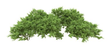 Yeşil orman ıssız. Afişler ve afişler için kullanışlı. 3d oluşturma.