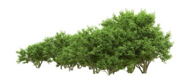 Yeşil orman ıssız. Afişler ve afişler için kullanışlı. 3d oluşturma.