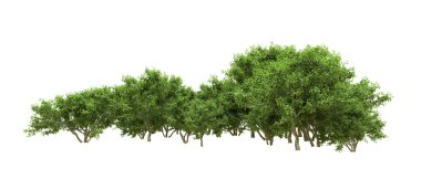 Yeşil orman ıssız. Afişler ve afişler için kullanışlı. 3d oluşturma.