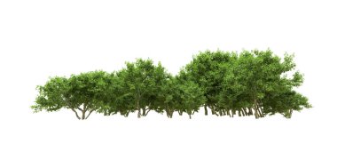 Yeşil orman ıssız. Afişler ve afişler için kullanışlı. 3d oluşturma.