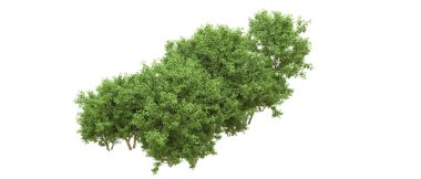 Yeşil orman ıssız. Afişler ve afişler için kullanışlı. 3d oluşturma.