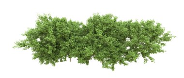 Yeşil orman ıssız. Afişler ve afişler için kullanışlı. 3d oluşturma.