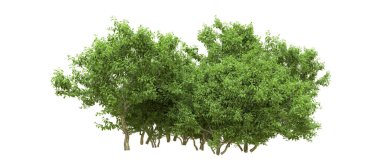 Yeşil orman ıssız. Afişler ve afişler için kullanışlı. 3d oluşturma.