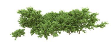Yeşil orman ıssız. Afişler ve afişler için kullanışlı. 3d oluşturma.