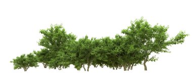 Yeşil orman ıssız. Afişler ve afişler için kullanışlı. 3d oluşturma.